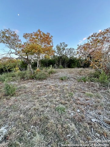 000 Carson Spgs Property Photo 14