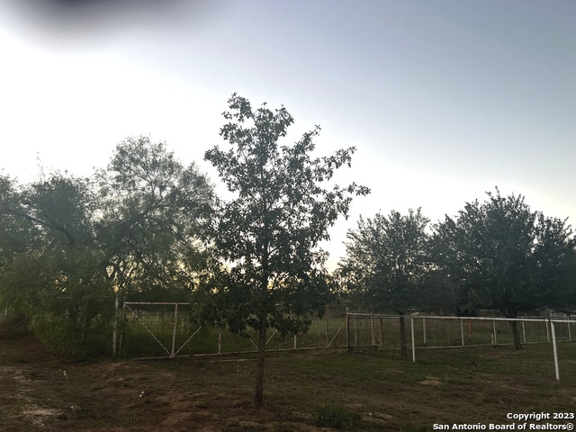 000 Herman J Ln Property Photo 6