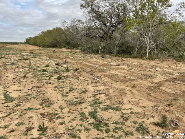 137 Sylas Hayes Loop Property Photo 2