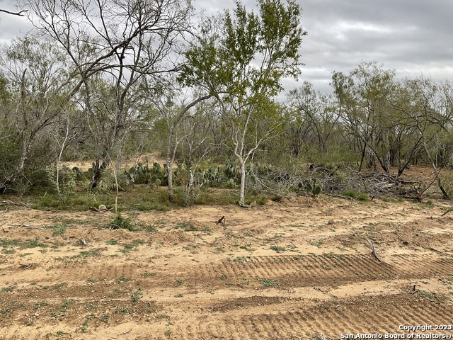 137 Sylas Hayes Loop Property Photo 3