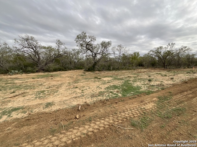 137 Sylas Hayes Loop Property Photo 4