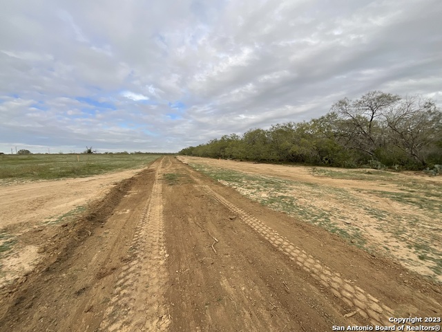 137 Sylas Hayes Loop Property Photo 6