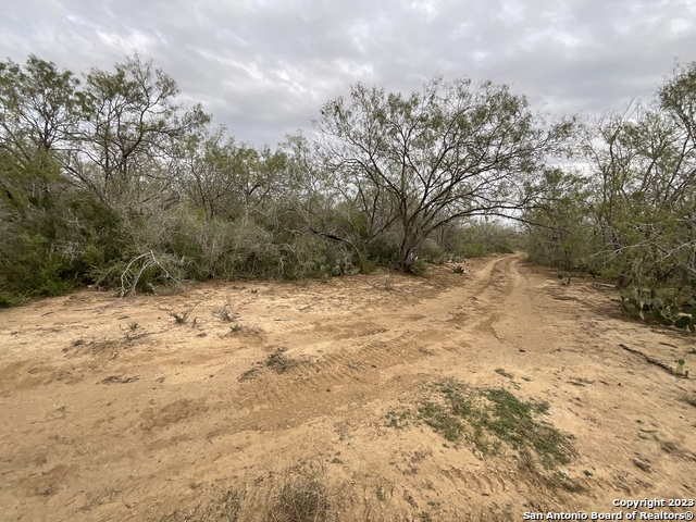 137 Sylas Hayes Loop Property Photo 7