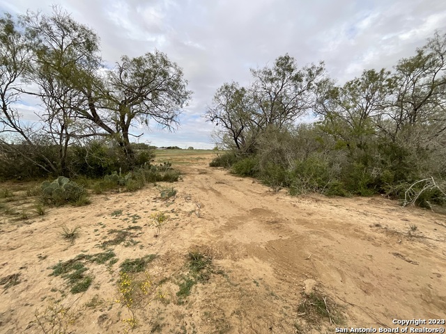 137 Sylas Hayes Loop Property Photo 8