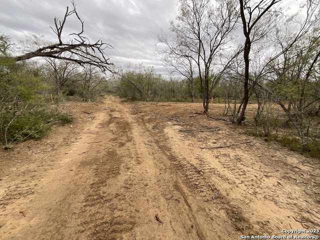137 Sylas Hayes Loop Property Photo 9