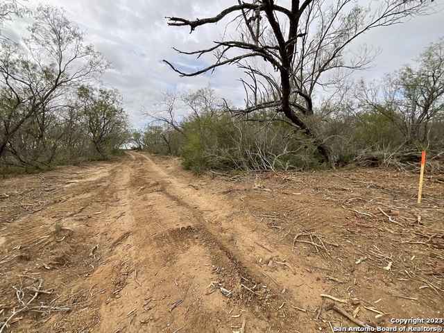 137 Sylas Hayes Loop Property Photo 10