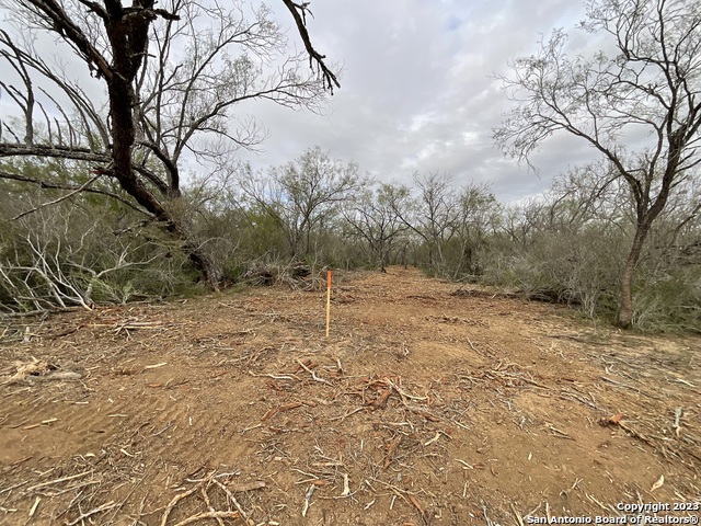 137 Sylas Hayes Loop Property Photo 11