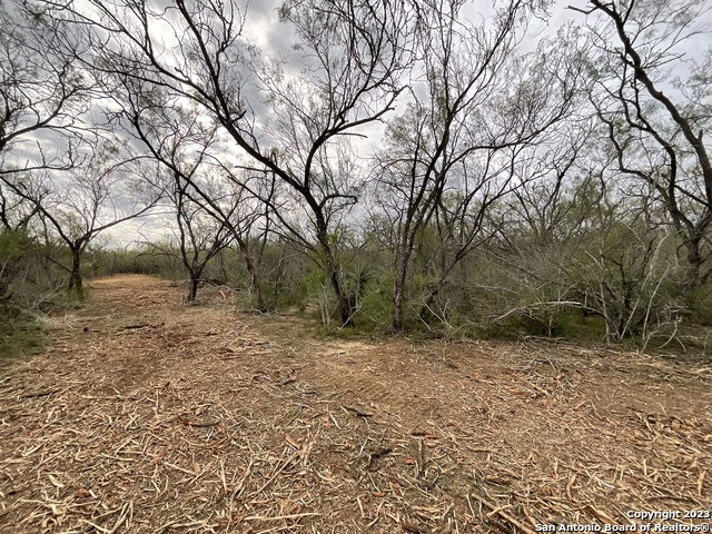 137 Sylas Hayes Loop Property Photo 12