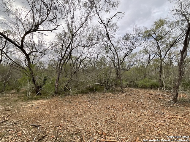 137 Sylas Hayes Loop Property Photo 13