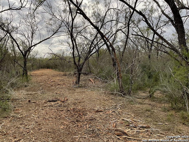 137 Sylas Hayes Loop Property Photo 14