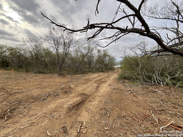 137 Sylas Hayes Loop Property Photo 15