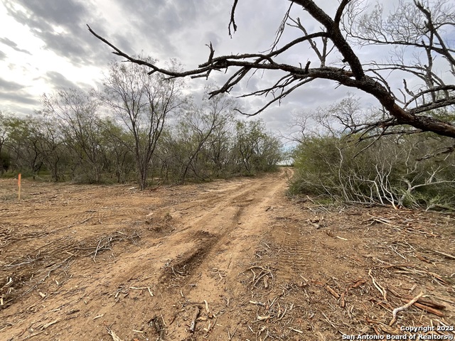 137 Sylas Hayes Loop Property Photo 16