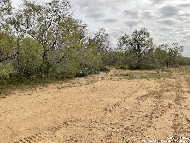 137 Sylas Hayes Loop Property Photo 20