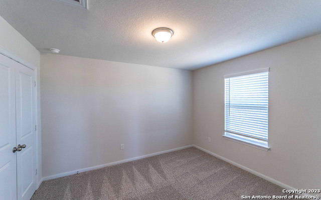 8836 Grey Elm Property Photo 14