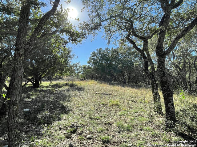 LOT 361 PALOMINO SPGS Property Photo 1
