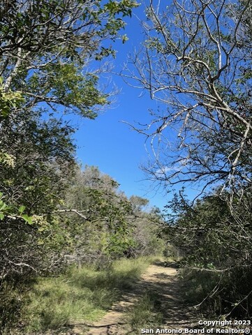 11731 Bricken Circle Property Photo 1