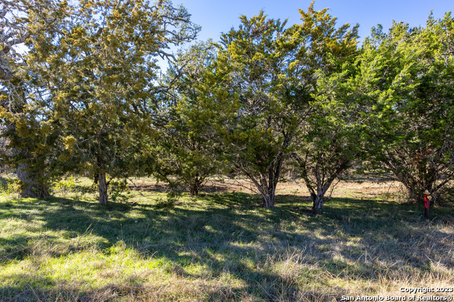 109 N Oak Bluff Blvd Property Photo 7