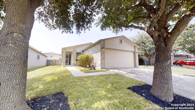 9926 Hawksbill Peak Property Photo 37