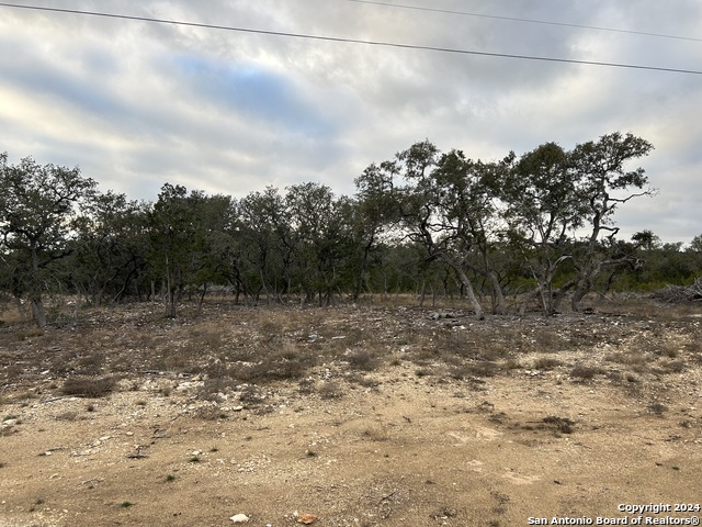 Lot 21 County Road 151 & Pr 1502 Property Photo