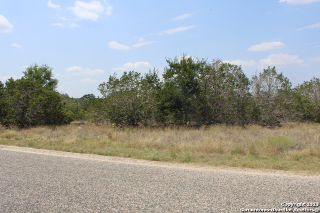 Lot 98 Palomino Spgs Property Photo 1