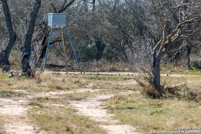 17001 Fm 140 Property Photo