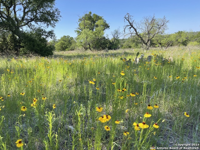 101 Whitetail Trail Property Photo