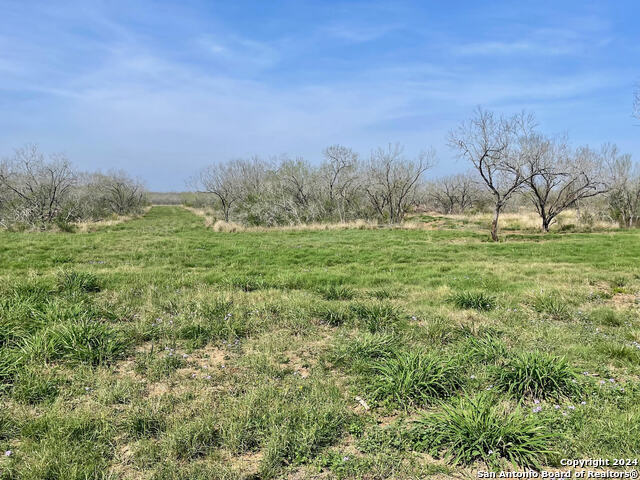 TRACT 8 FM 1332 Property Photo 1