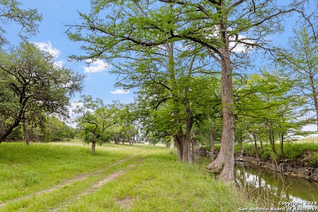 Lot 6 Coldwater Drive Property Photo 3