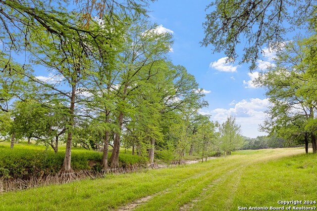 Lot 6 Coldwater Drive Property Photo 4