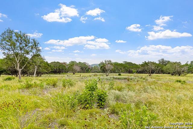 Lot 6 Coldwater Drive Property Photo 5