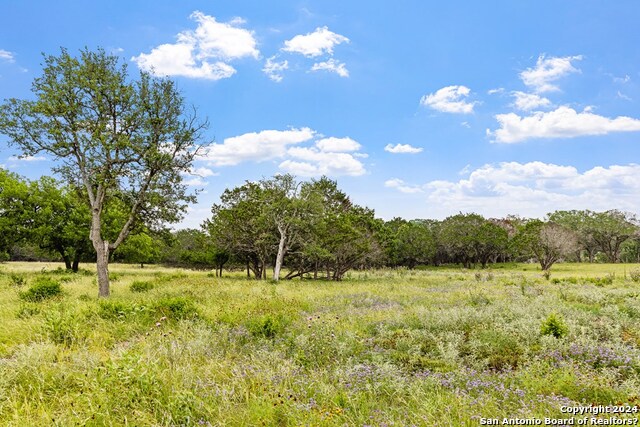 Lot 6 Coldwater Drive Property Photo 8