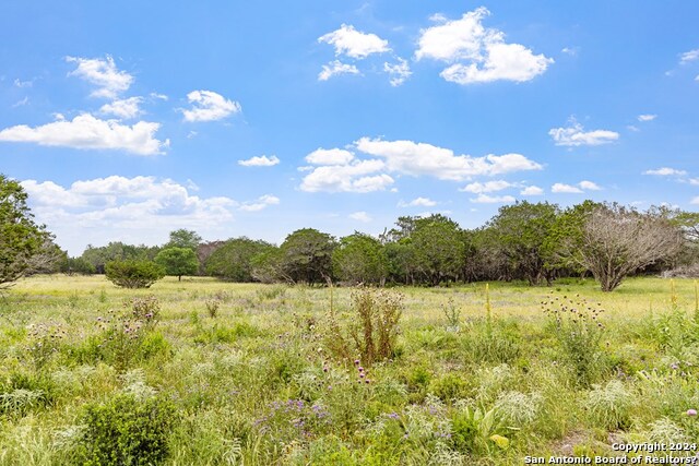 Lot 6 Coldwater Drive Property Photo 11