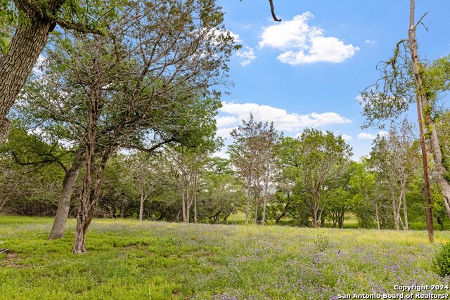 Lot 6 Coldwater Drive Property Photo 12