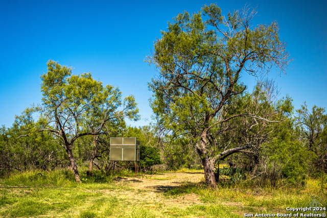 133 Gasca Ln Property Photo