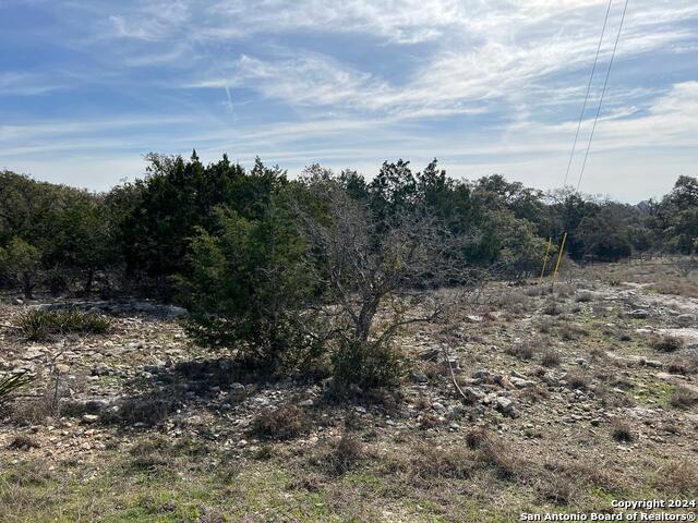 119 Asa Harold Property Photo 6