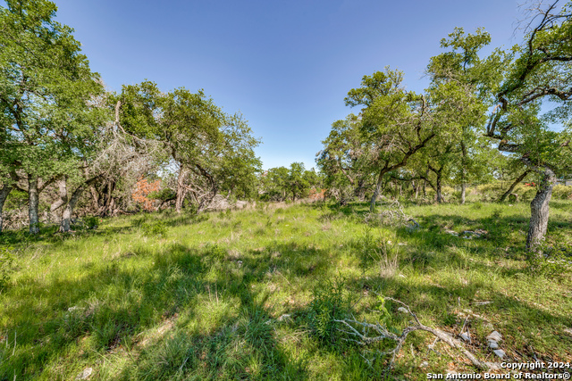 339 Iron Hill Property Photo 1
