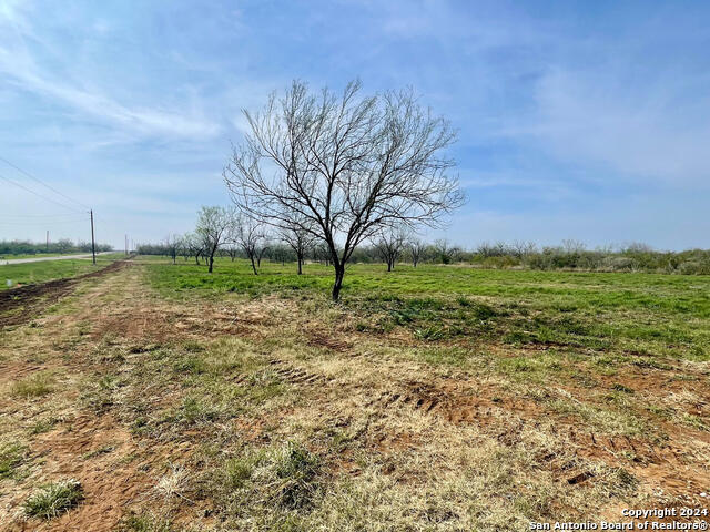 Tract 1 Fm 1332 Property Photo 2