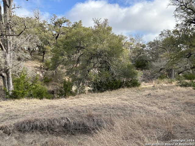 116 Poehnert Road Property Photo 7
