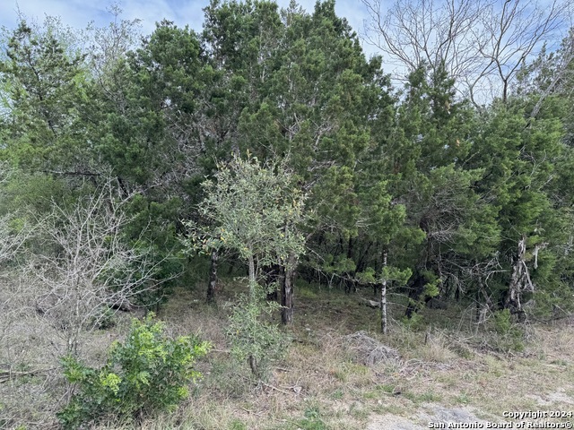 Lot 19 County Road 278 Property Photo
