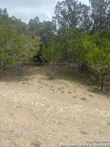 Lot 235 Center Point Property Photo 1