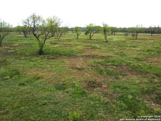 Tbd Desert Willow Dr. Property Photo 6
