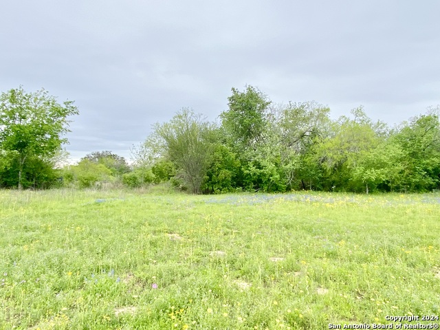 210 Shamrock Dr Property Photo 3
