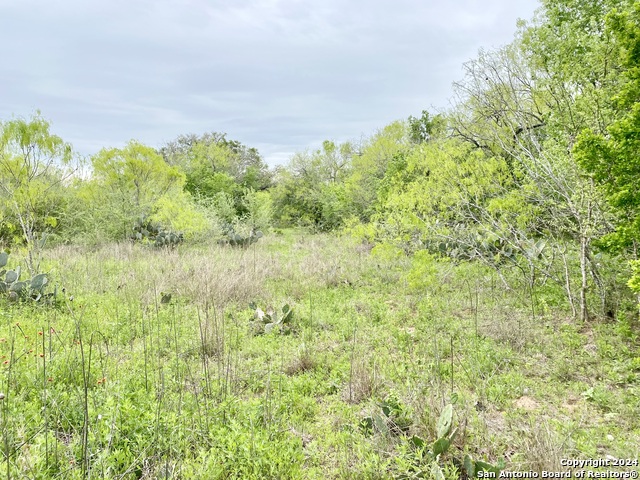 210 Shamrock Dr Property Photo 8