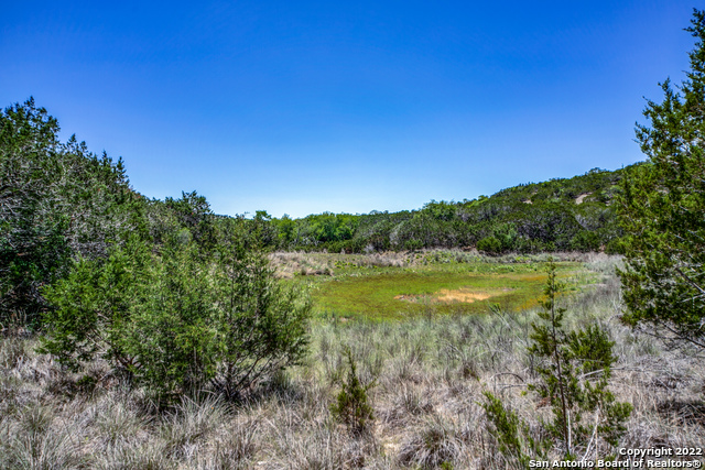 000 Valley View Trl Property Photo 10