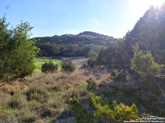 000 Valley View Trl Property Photo 23