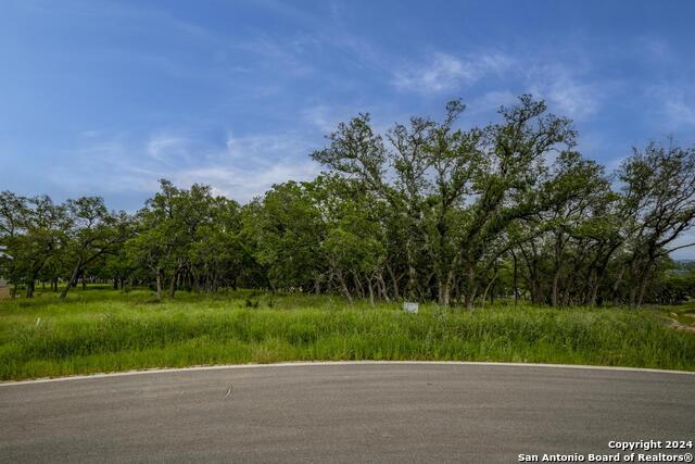 34780 High Gate Rd Property Photo 12