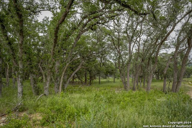 34780 High Gate Rd Property Photo 14