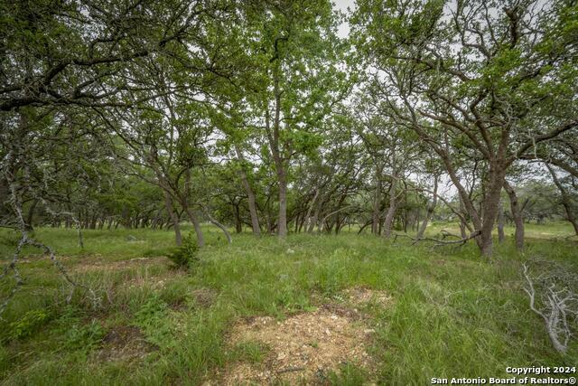 34780 High Gate Rd Property Photo 16