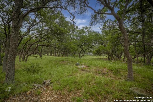 34780 High Gate Rd Property Photo 17