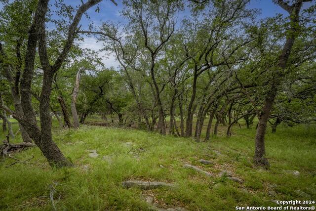 34780 High Gate Rd Property Photo 18